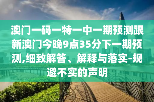 澳门一码一特一中一期展望跟新澳门今晚9点35分下一期展望,详尽解答、诠释与落实-规避不实的声明