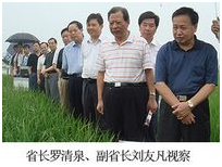 554b7e523b8d5 首页- J9集团国际站官网入口