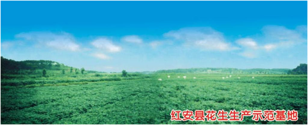 首页- J9集团国际站官网入口