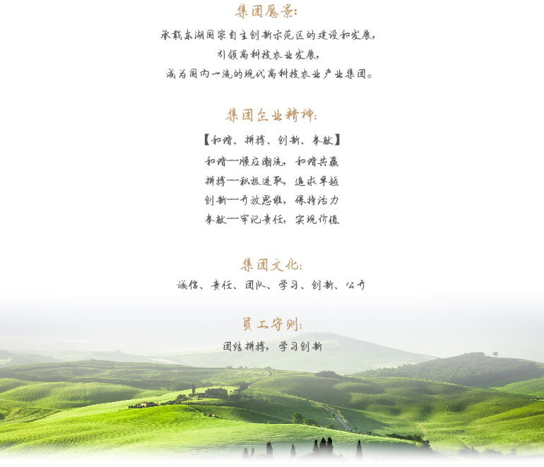 首页- J9集团国际站官网入口