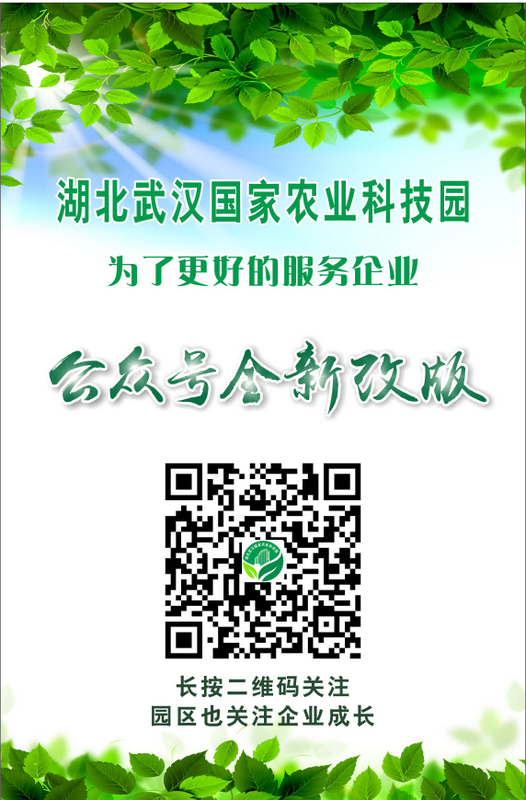 首页- J9集团国际站官网入口