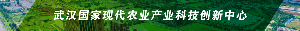 首页- J9集团国际站官网入口
